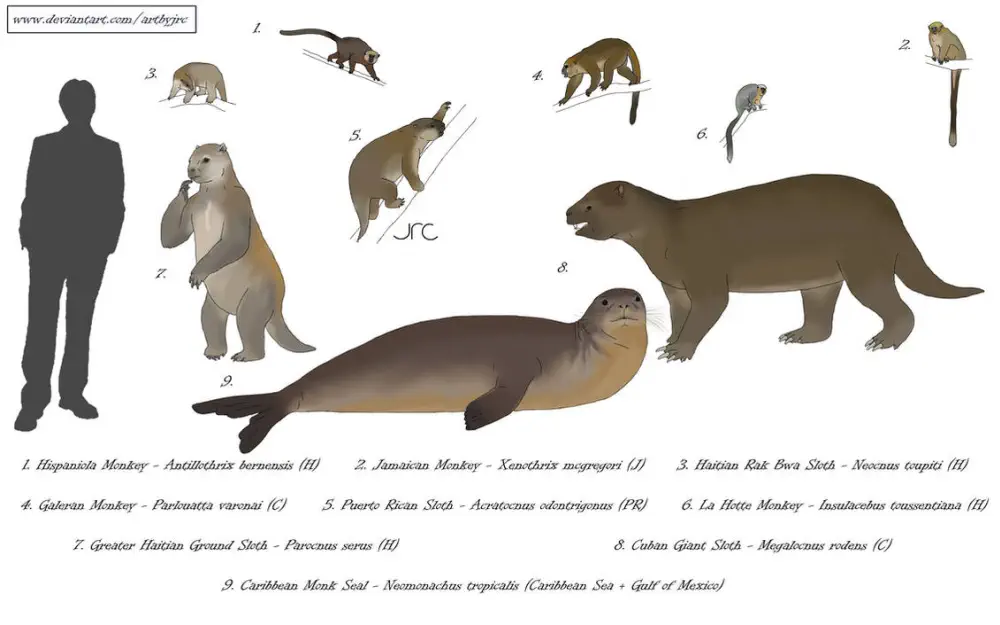 Вимерлий світ | Xenothrix Вимерлий світ | Xenothrix