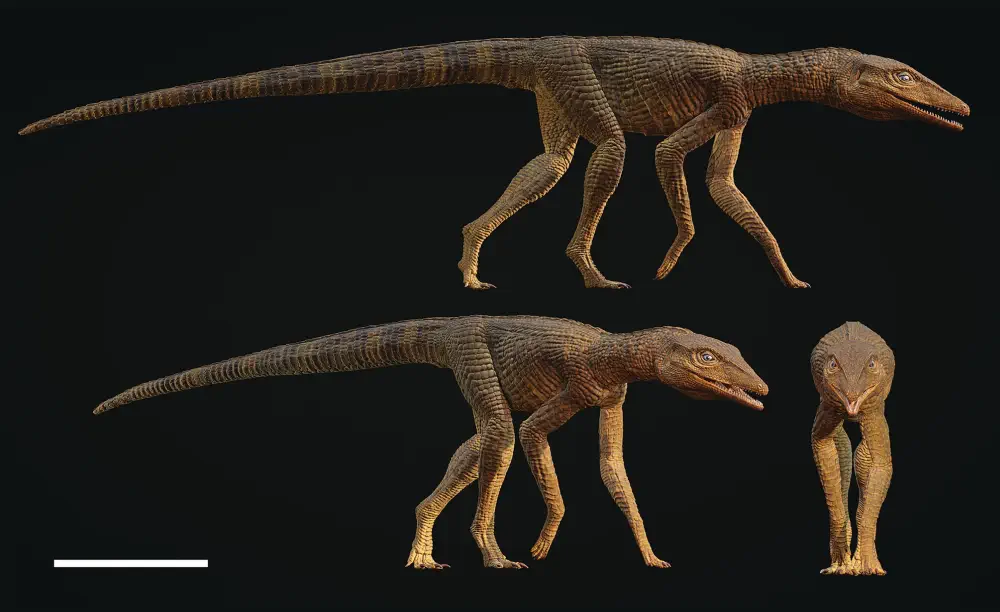 Вимерлий світ | Galahadosuchus Вимерлий світ | Galahadosuchus