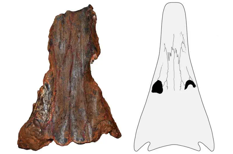 Вимерлий світ | Erythrobatrachus