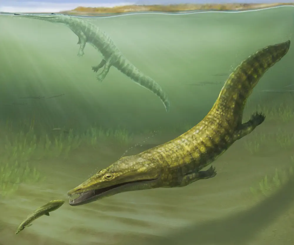 Вимерлий світ | Erythrobatrachus