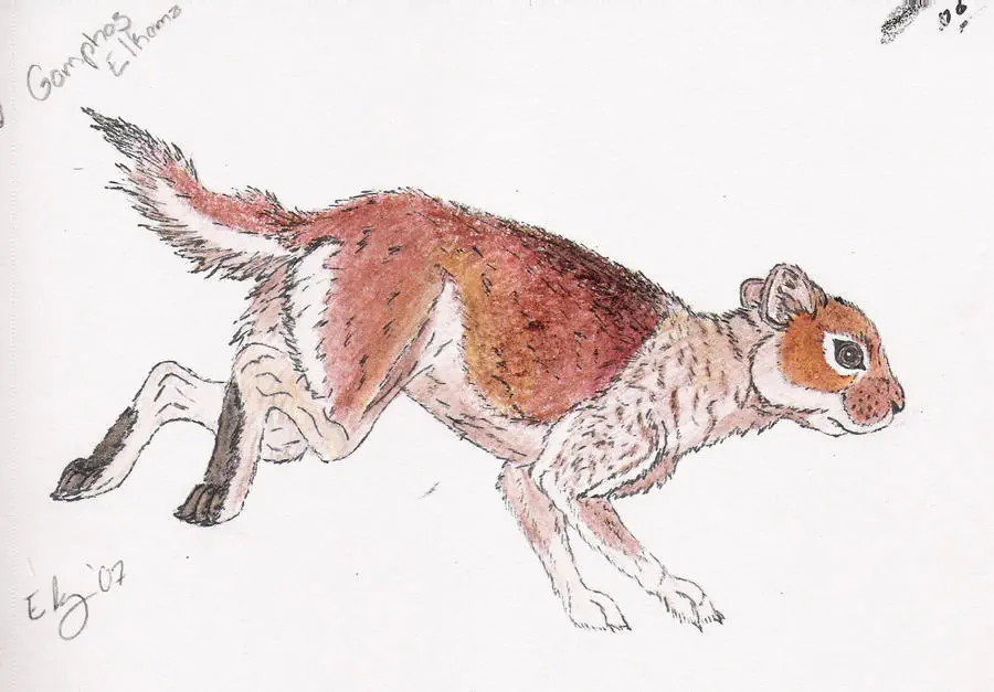 Вимерлий світ | Gomphos Вимерлий світ | Gomphos