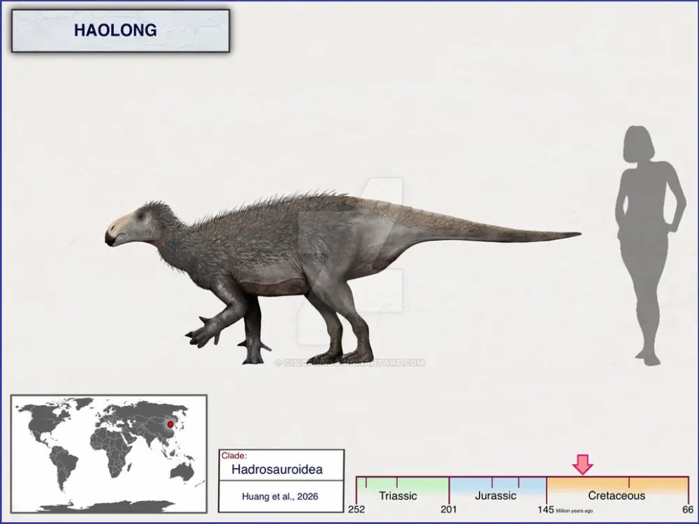 Вимерлий світ | Haolong Вимерлий світ | Haolong