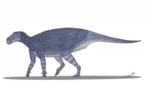 Haolong|Вимерлий світ