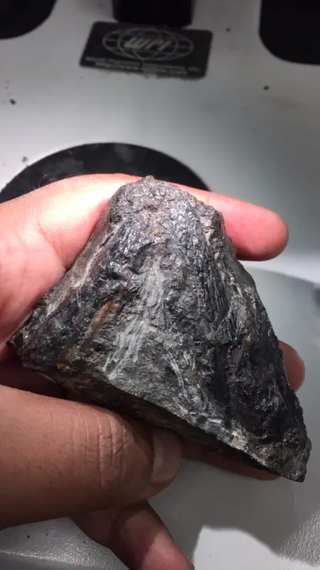 Вимерлий світ | Tyrannoroter