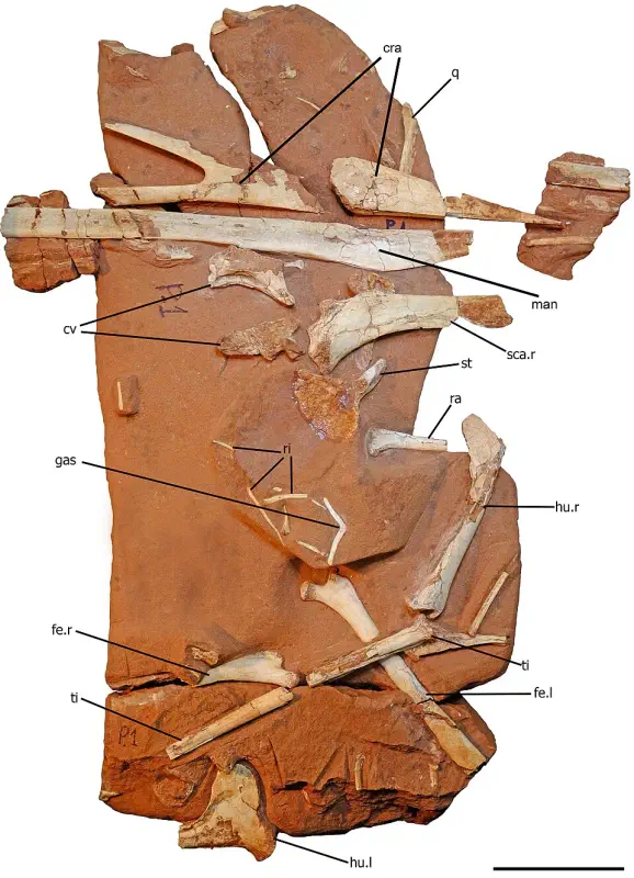 Вимерлий світ | Keresdrakon