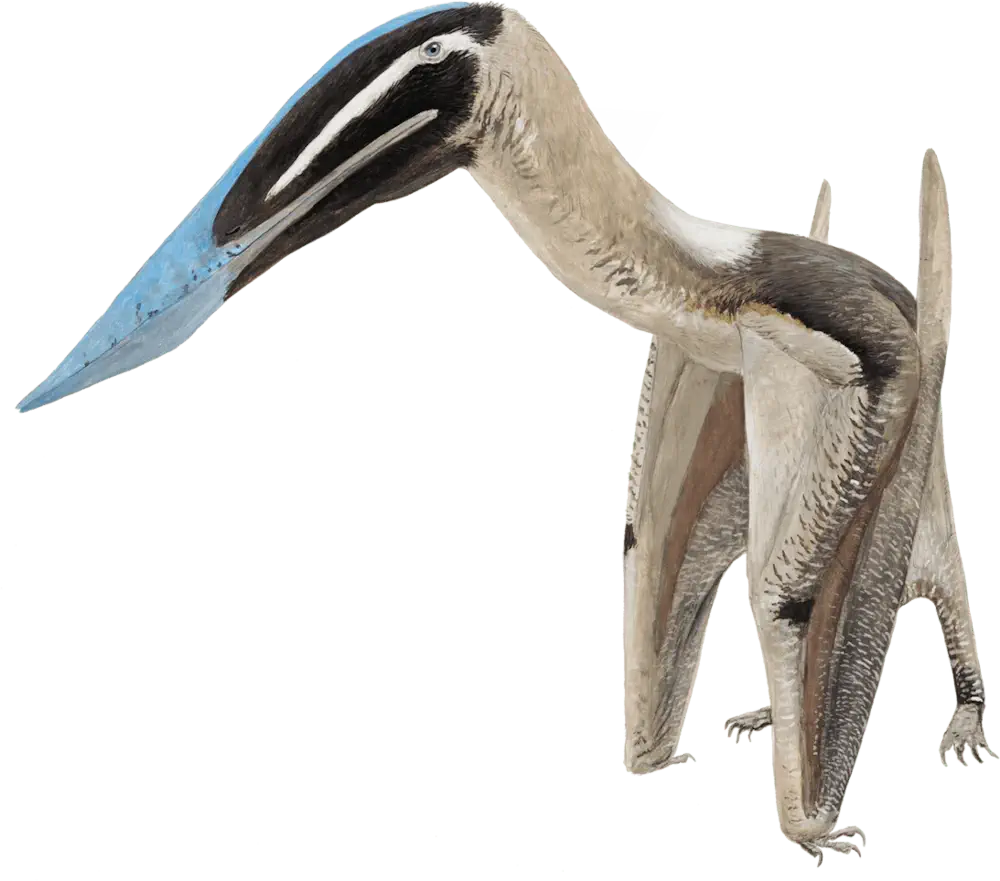 Вимерлий світ | Keresdrakon