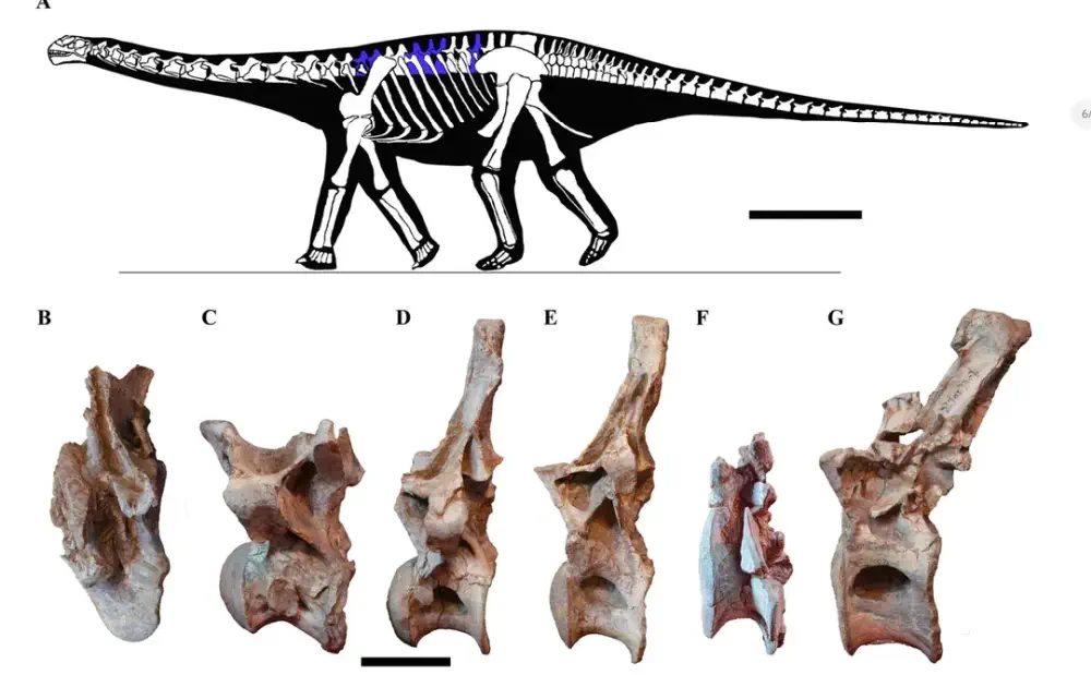 Вимерлий світ | Yantaloong