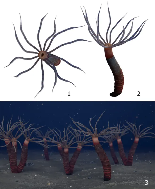 Вимерлий світ | Paleocanna Вимерлий світ | Paleocanna