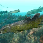 paleolophus_yunnanensis_by_gogosardina_dlaq4sp-pre