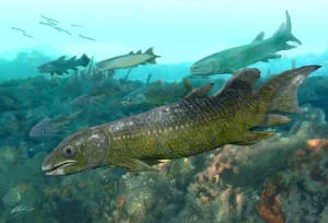 Paleolophus|Вимерлий світ