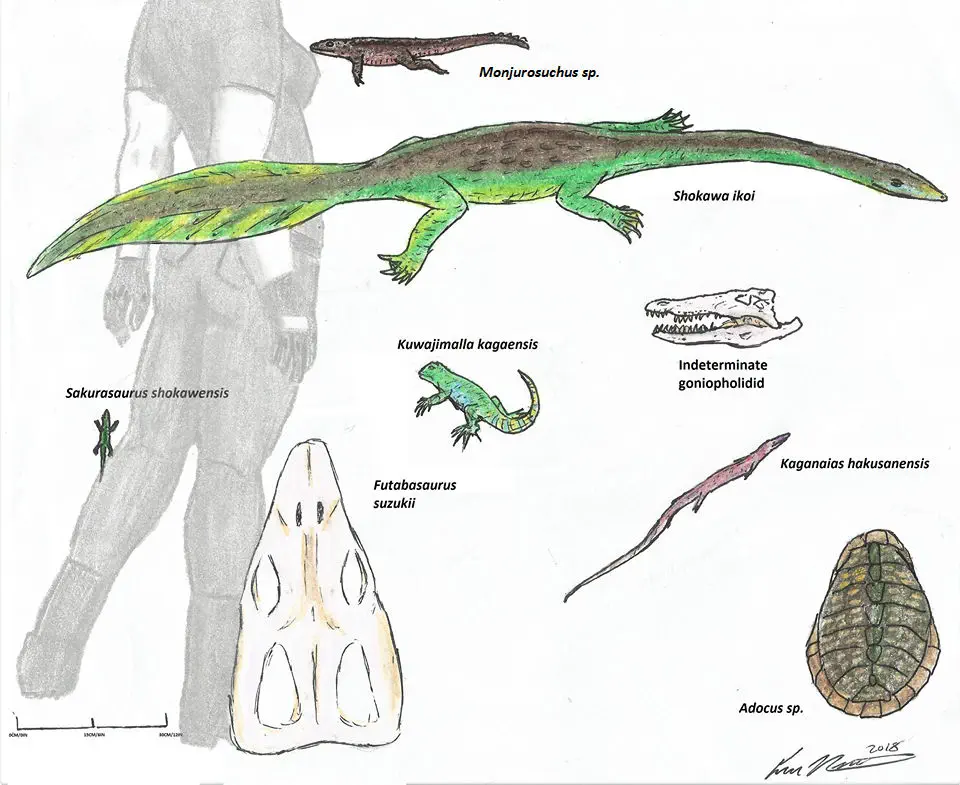 Вимерлий світ | Kaganaias