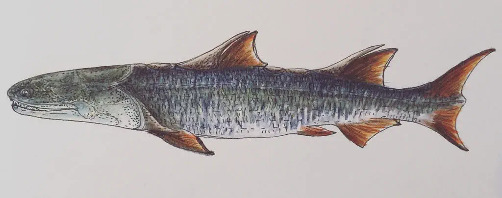 Вимерлий світ | Sparalepis