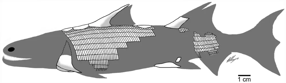 Вимерлий світ | Sparalepis