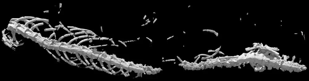 Вимерлий світ | Kaganaias