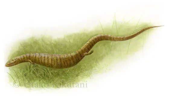 Вимерлий світ | Kaganaias