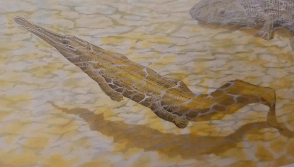 Вимерлий світ | Erythrobatrachus