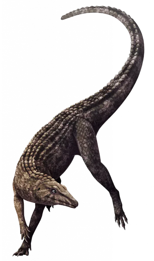 Вимерлий світ | Galahadosuchus