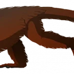 tumblr_py1ik4NIlH1s5f2yxo1_1280
