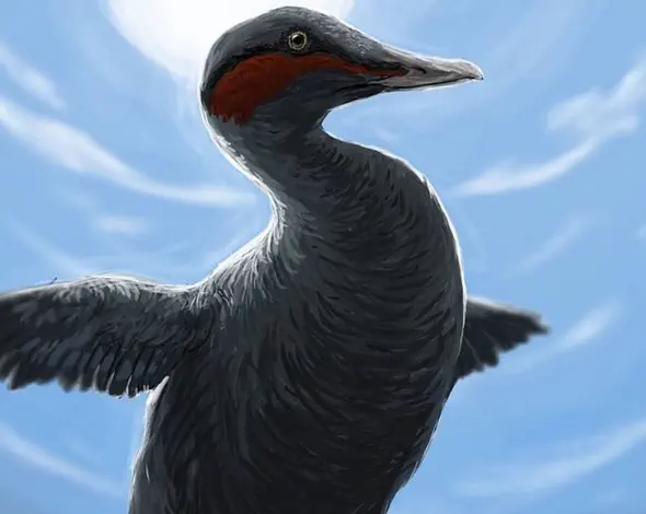 Вимерлий світ | Shiriyanetta