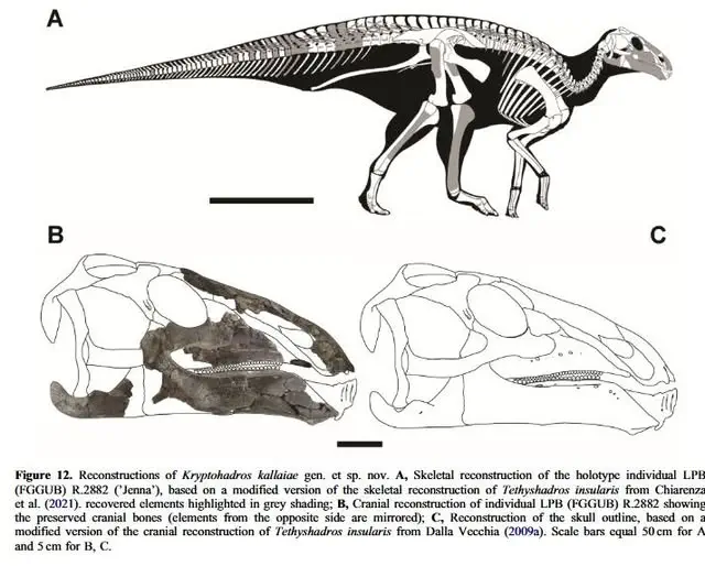 Вимерлий світ | Kryptohadros