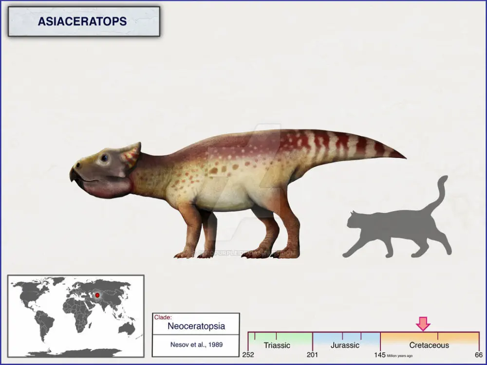 Вимерлий світ | Asiaceratops