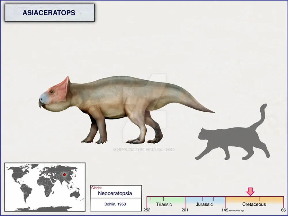 Вимерлий світ | Asiaceratops