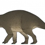 Cryptarcus_russelli
