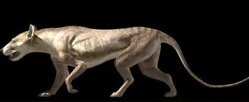 Вимерлий світ | Cynelos