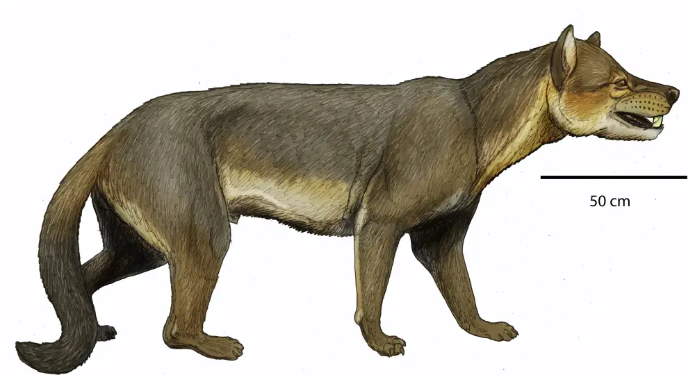 Вимерлий світ | Cynelos