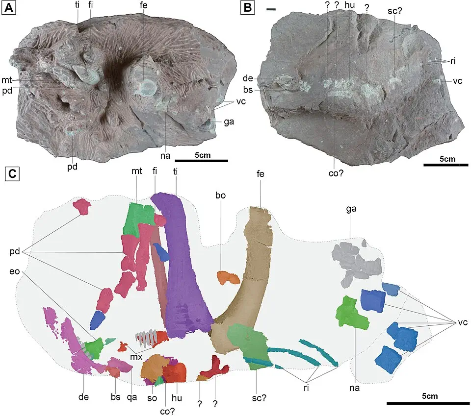 Вимерлий світ | Doolysaurus