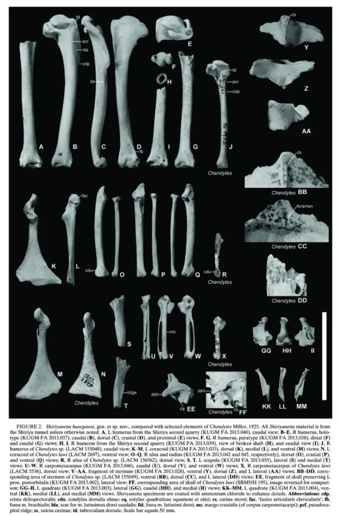 Вимерлий світ | Shiriyanetta