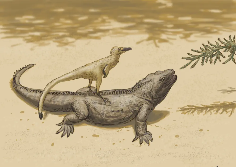 Вимерлий світ | Priosphenodon