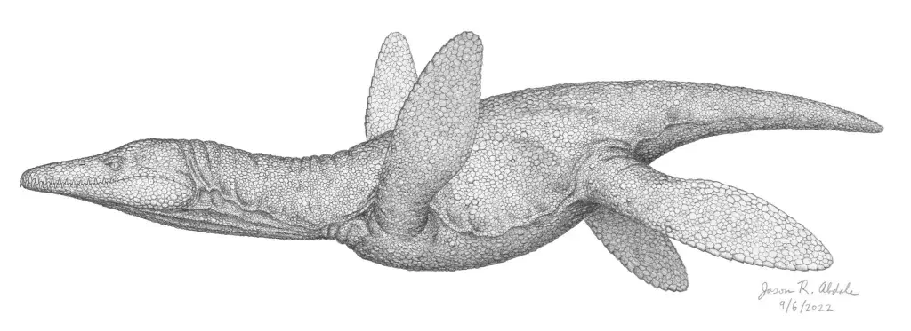 Вимерлий світ | Hastanectes