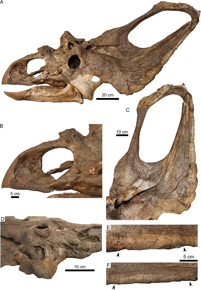 Вимерлий світ | Cryptarcus Вимерлий світ | Cryptarcus