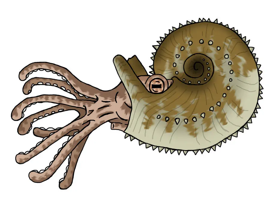 Вимерлий світ | Kosmoceras