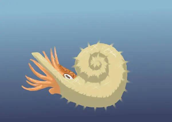 Вимерлий світ | Kosmoceras