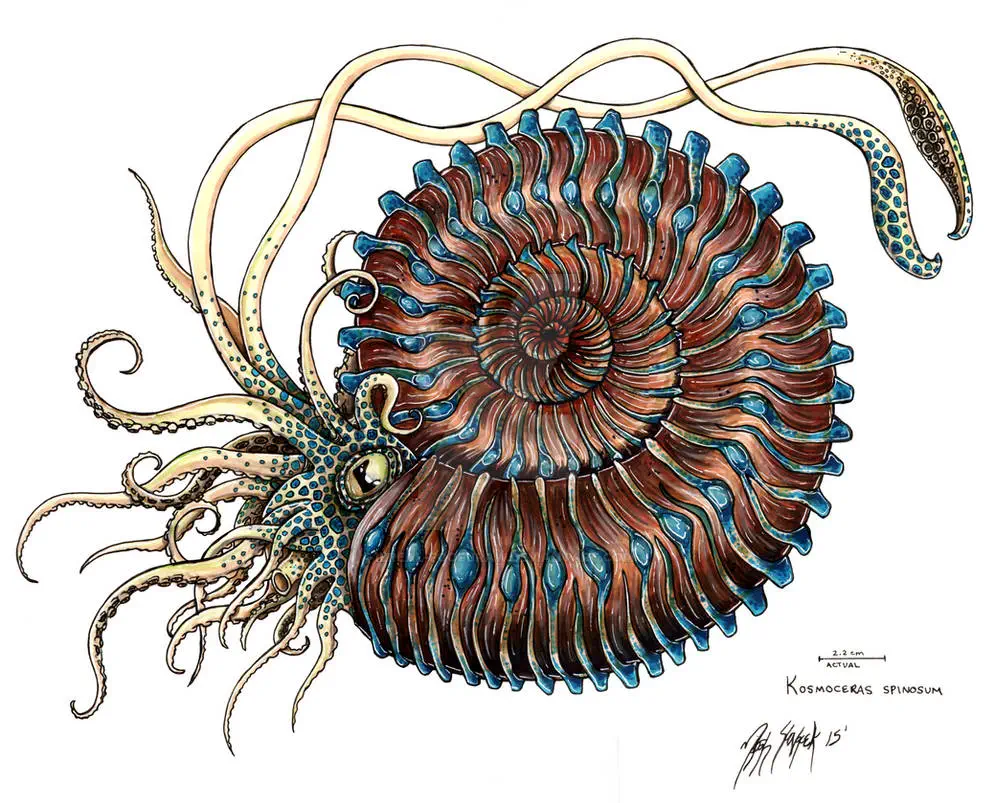 Вимерлий світ | Kosmoceras