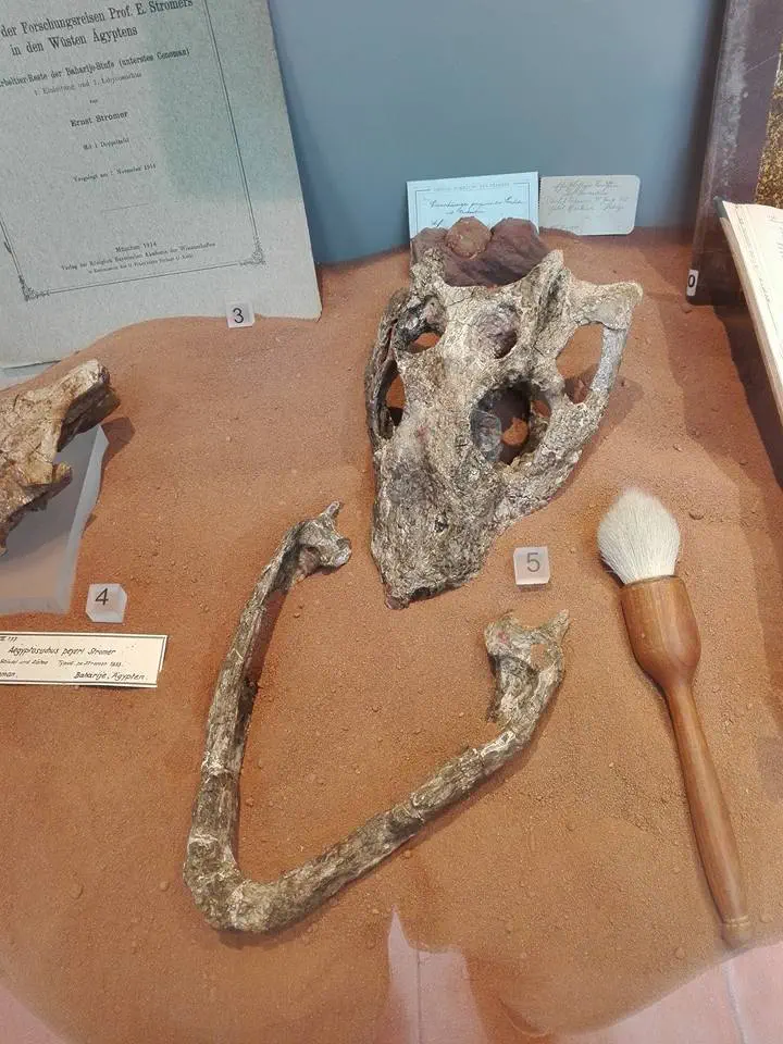 Вимерлий світ | Libycosuchus