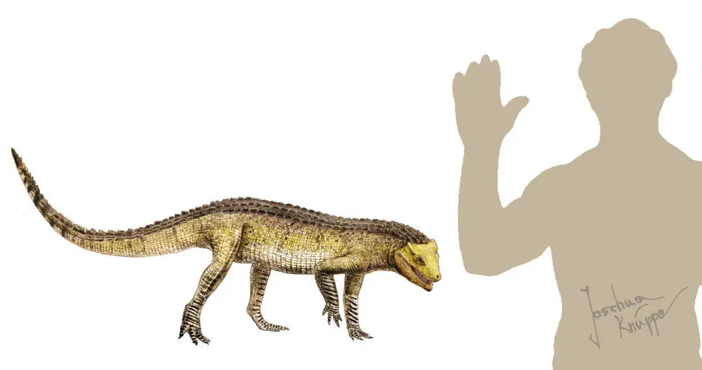 Вимерлий світ | Libycosuchus