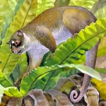 Life_reconstruction_of_Ektopodon_serratus