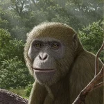 Masripithecus_moghraensis