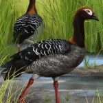 old-mother-goose-adds