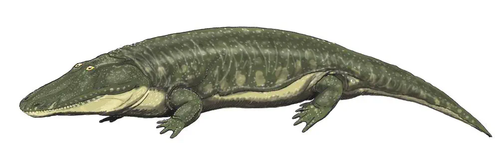 Вимерлий світ | Parotosuchus