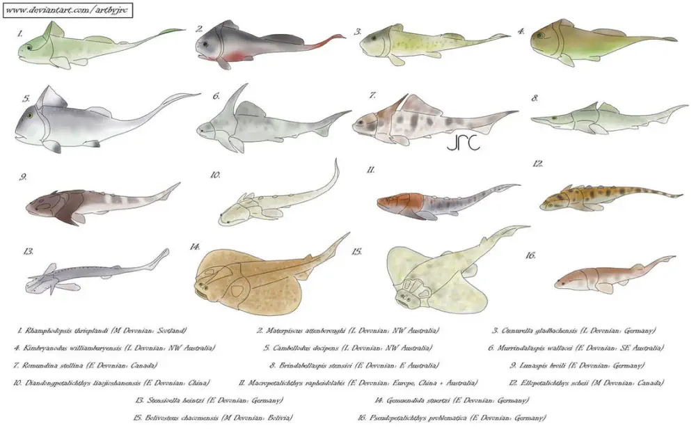 Вимерлий світ | Gemuendina