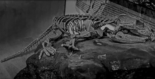 Вимерлий світ | Priosphenodon