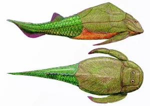 Pterichthyodes|Вимерлий світ