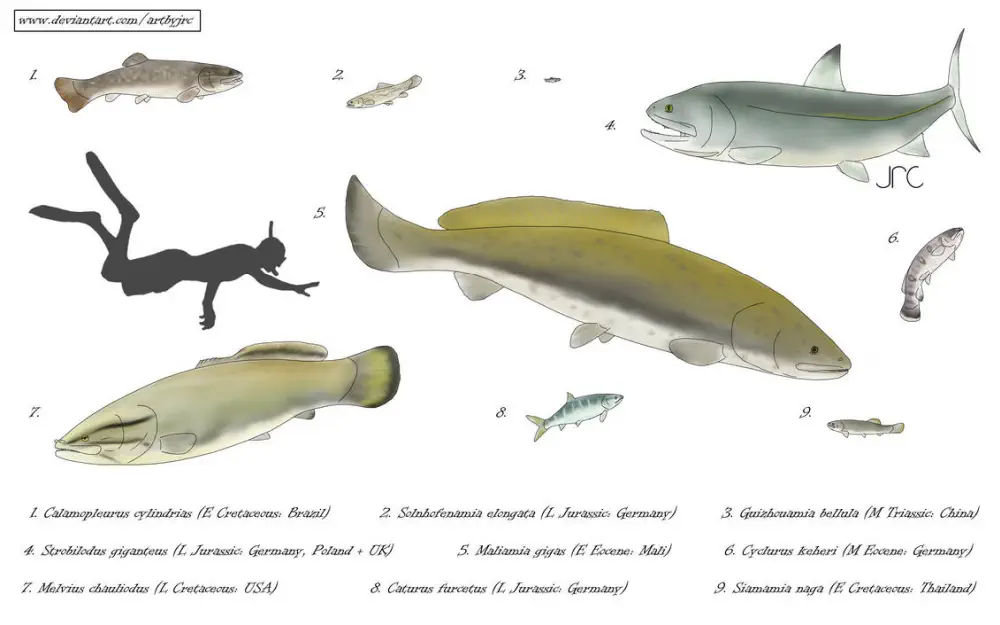 Вимерлий світ | Maliamia Вимерлий світ | Maliamia