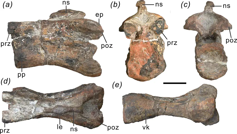 Вимерлий світ | Xiangyunloong Вимерлий світ | Xiangyunloong