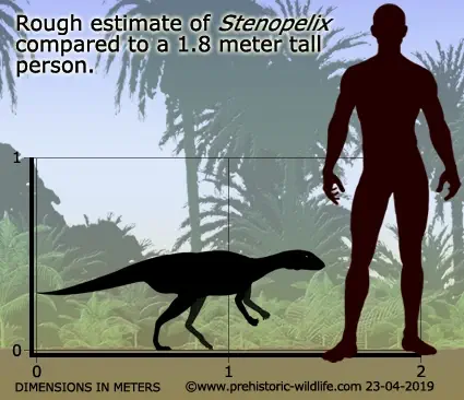 Вимерлий світ | Stenopelix Вимерлий світ | Stenopelix