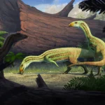 Sonselasuchus_cedrus-novataxa_2026-Smith_Sidor__paleoArt_Gabriel_Ugueto